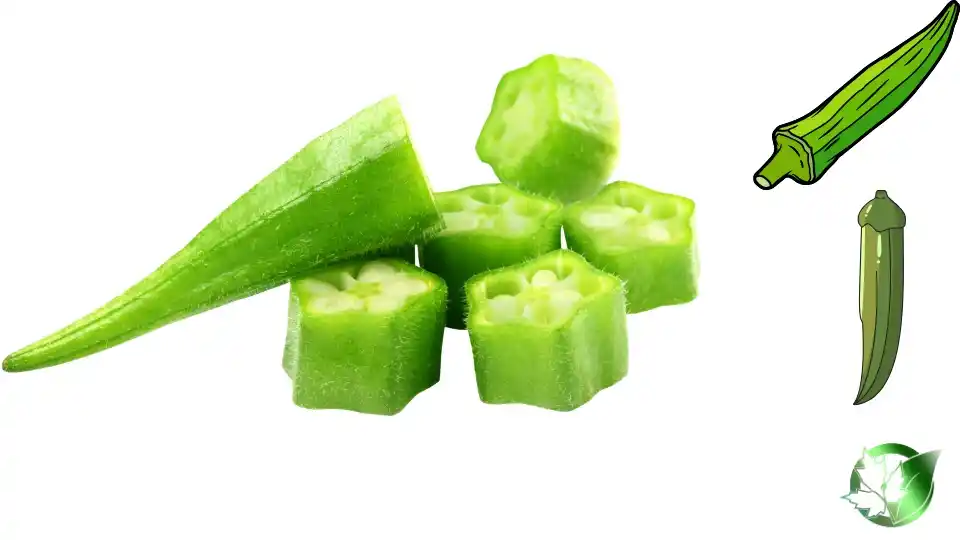 Frozen Okra quality, format, and packaging should be matched to the buyer’s target application.